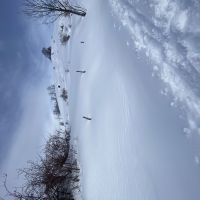 Infirmière à domicile à Jonage - Vedrana
