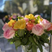 Infirmière à domicile à Aubagne - Sabine 